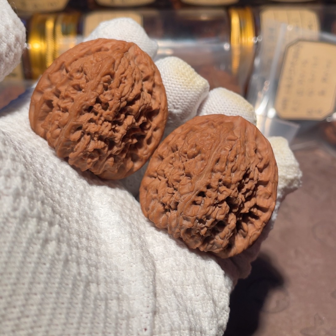 核桃44高装南疆jjj