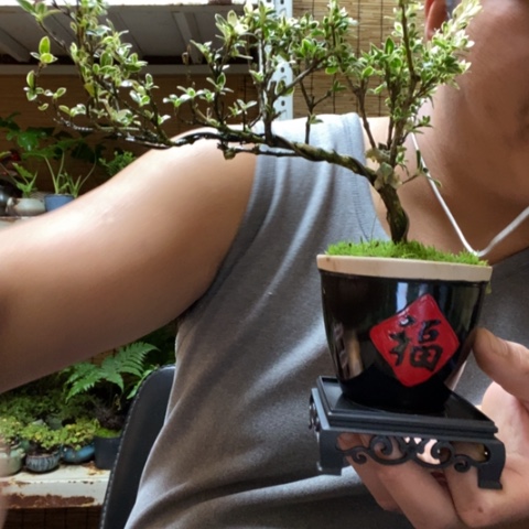 红陶?*?一物一拍所见即所得195