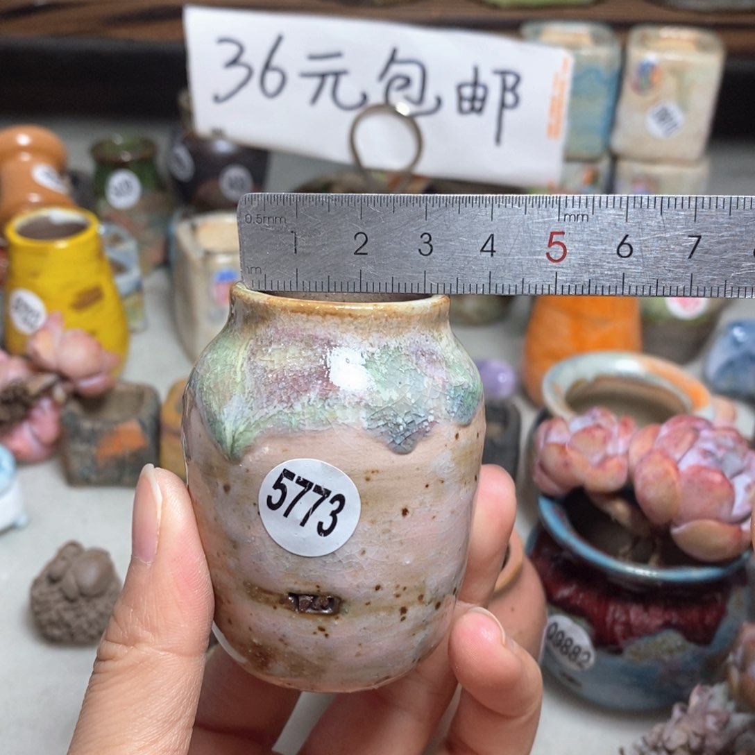 拍5送一个小礼物