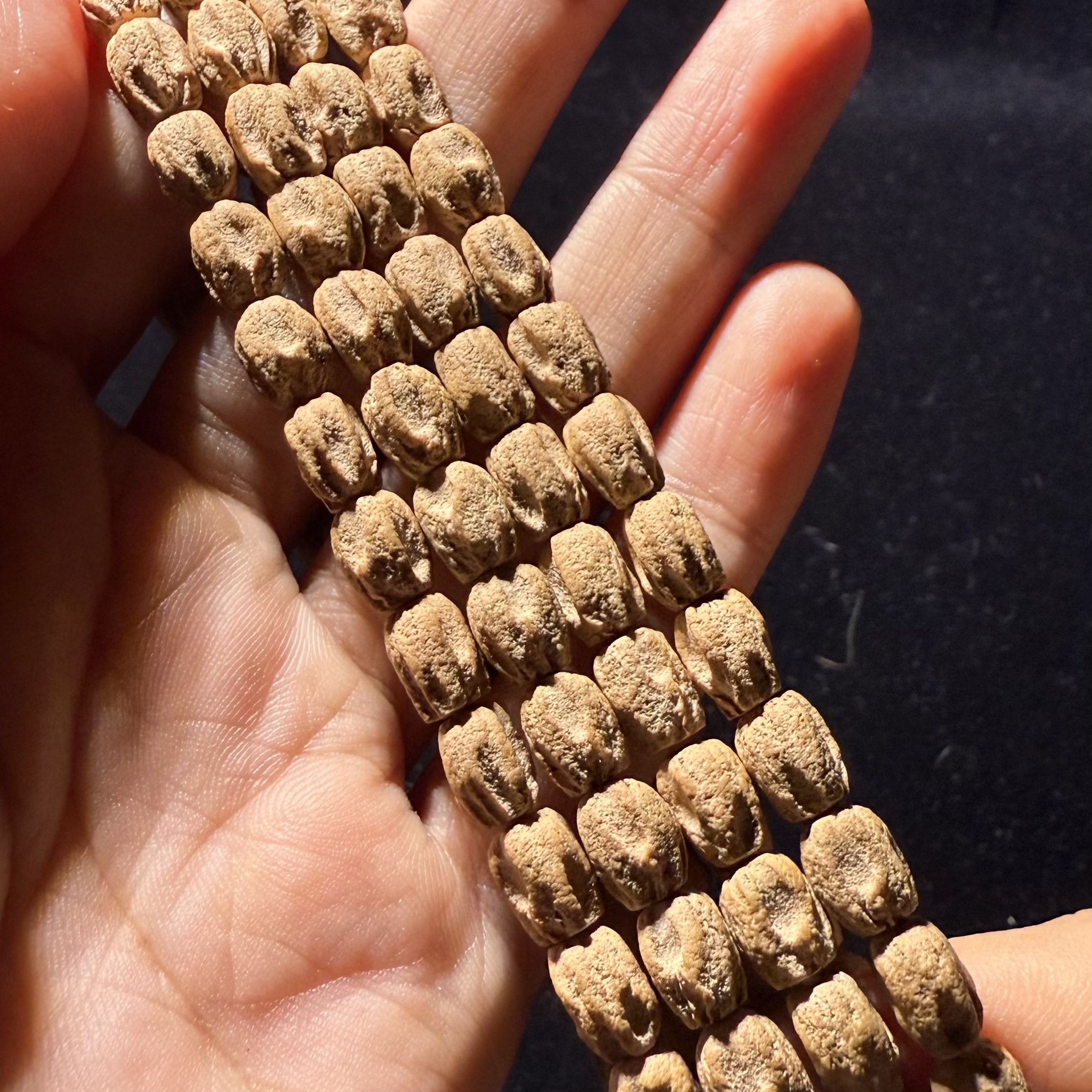 【十二】柏香籽热振超高桩顺鬼 6.3*8.3