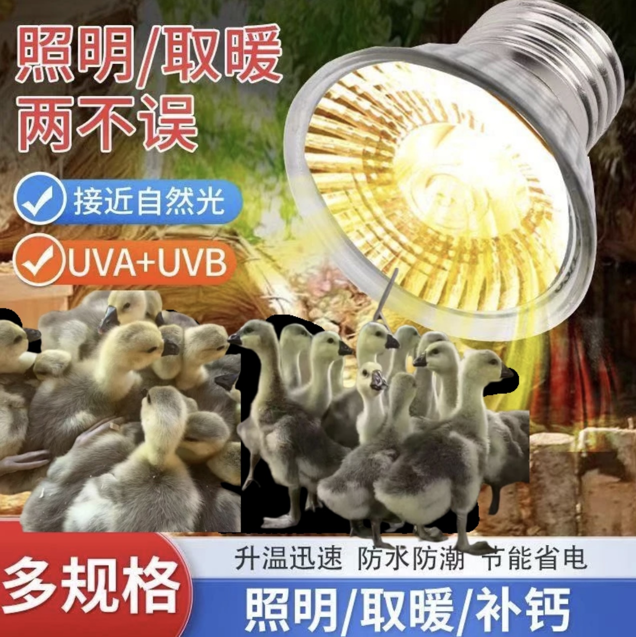 农家养殖户鸡鸭鹅狮头鹅专用保温灯小娥可用