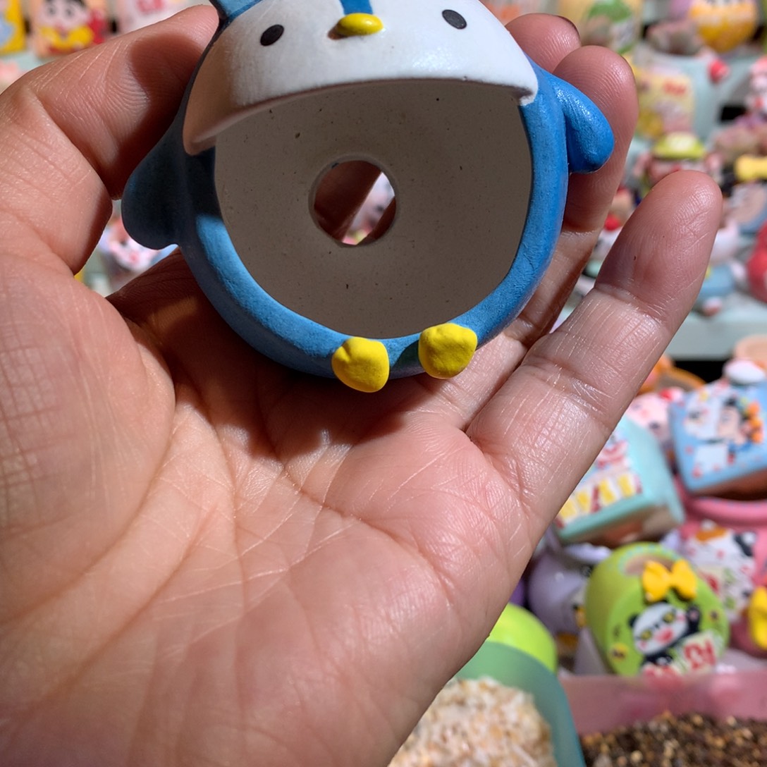 陶新年福利 满100包邮 正常45米