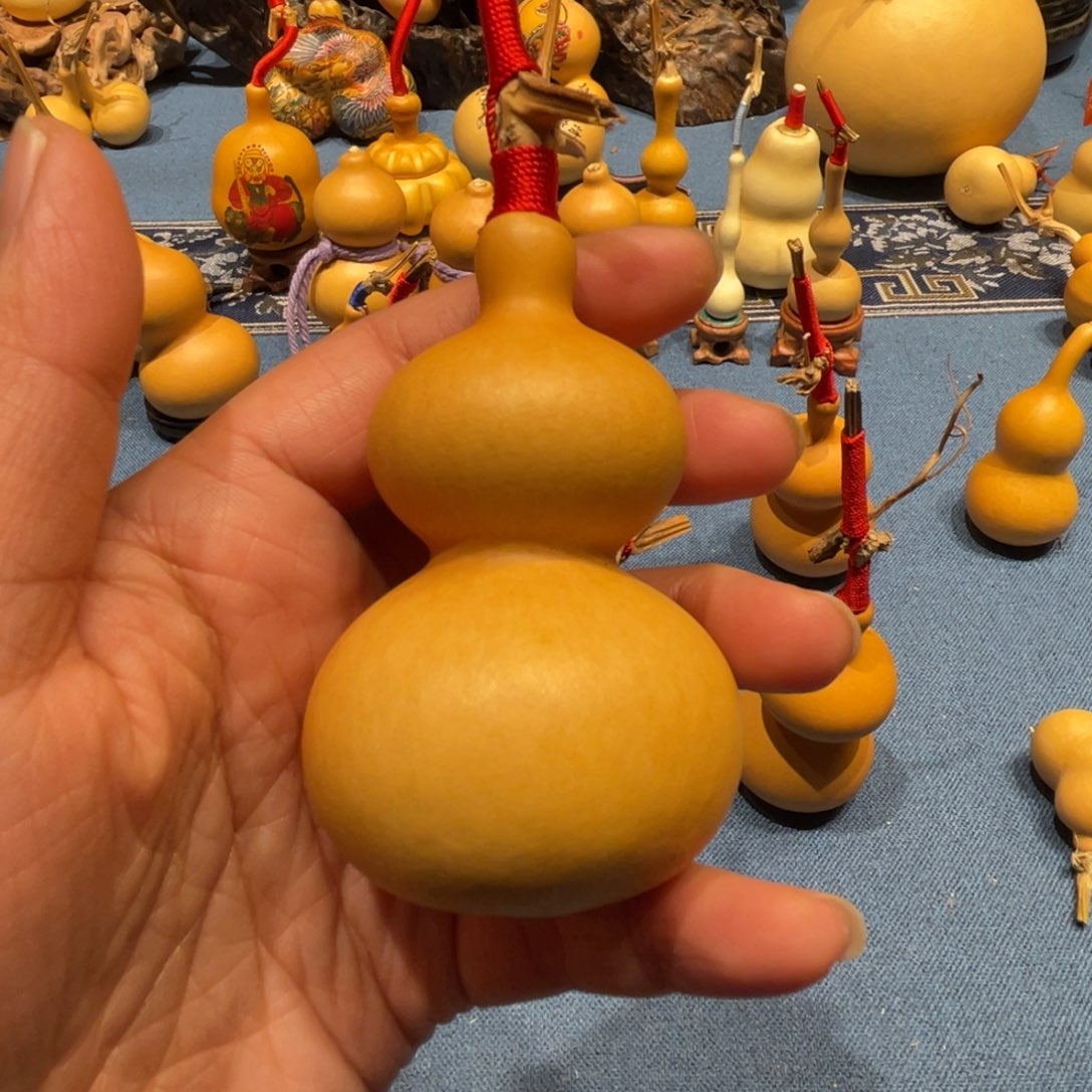 木l****迹葫芦等经济林木生长在