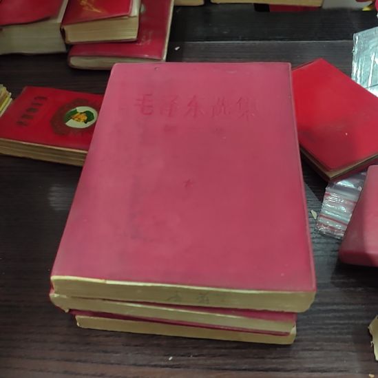 颂***藏其他普通金属纪念章