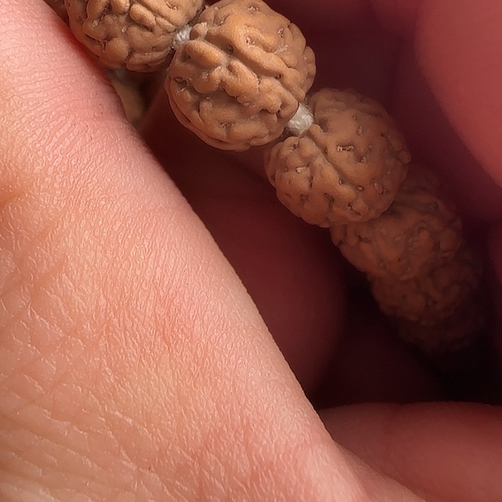 吊坠金刚菩提一代龙一等一