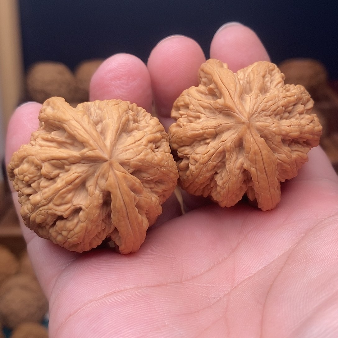 文玩核桃把件L*N粗筋42