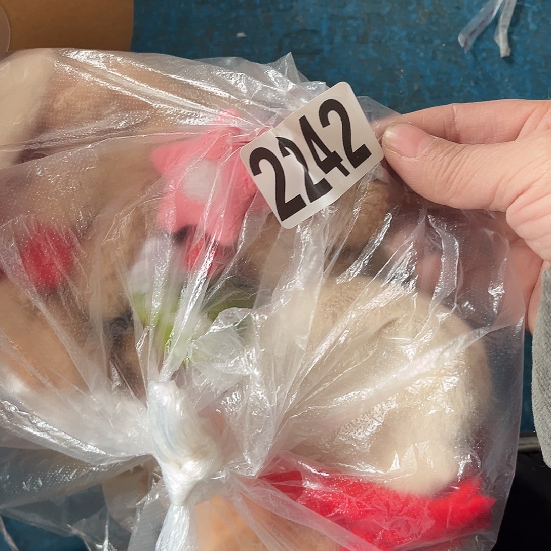 宿***照 手工制作工艺制作材料