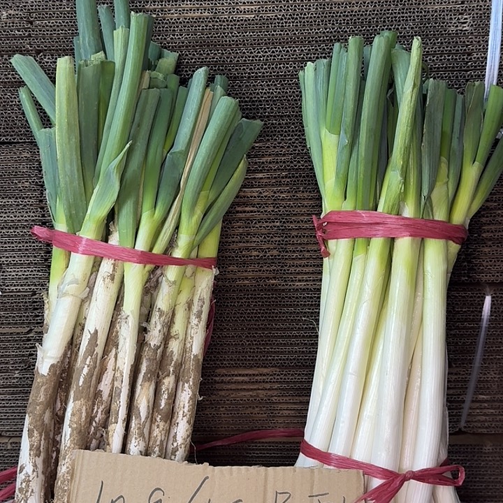 福利山东铁杆大葱带皮半叶5斤中国大陆