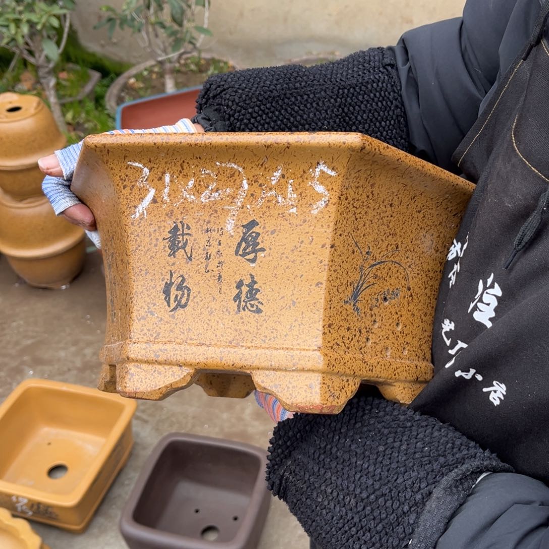 紫砂花盆盆景艺术