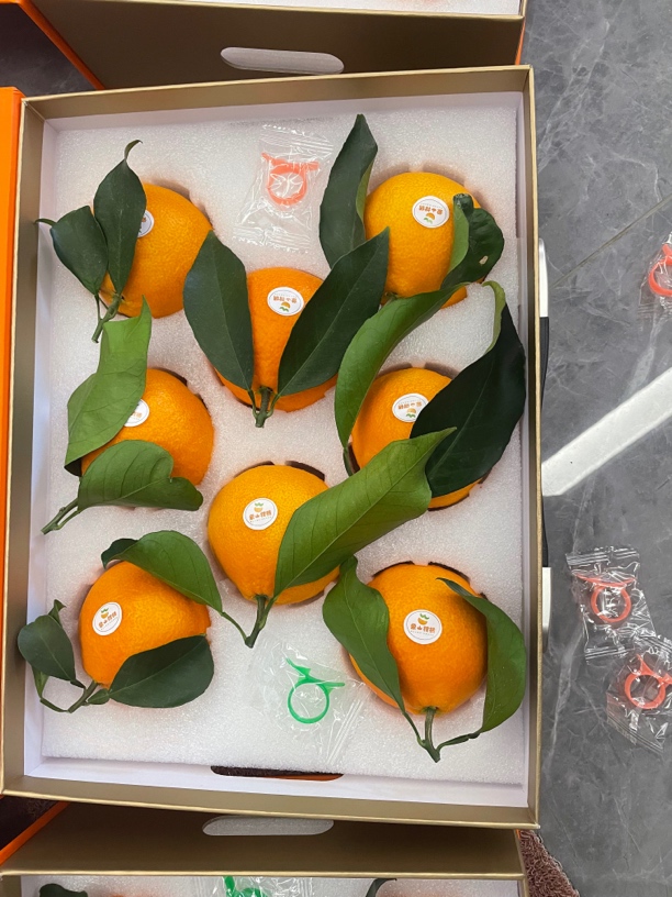 正宗象山红美人爱马仕礼盒装