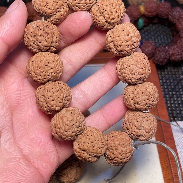 金刚菩提吊坠江****洵尼泊尔大金刚菩提