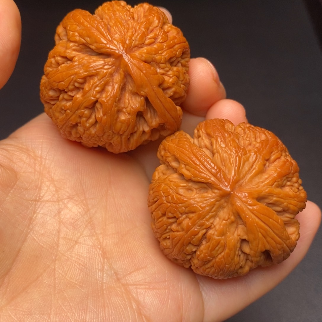 文玩核桃把件秦岭野生核桃