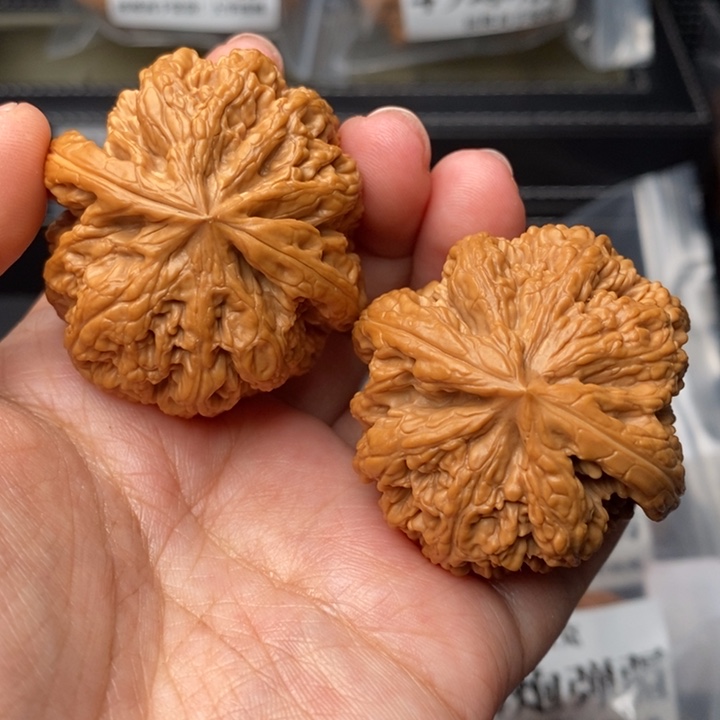 文玩核桃把件44粗筋