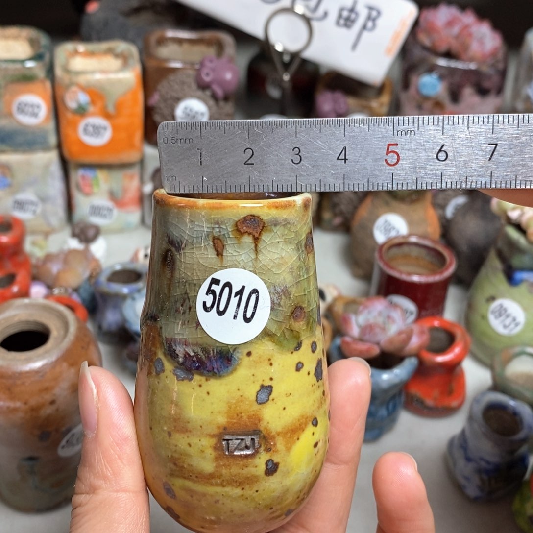 花盆拍5送一个小礼物