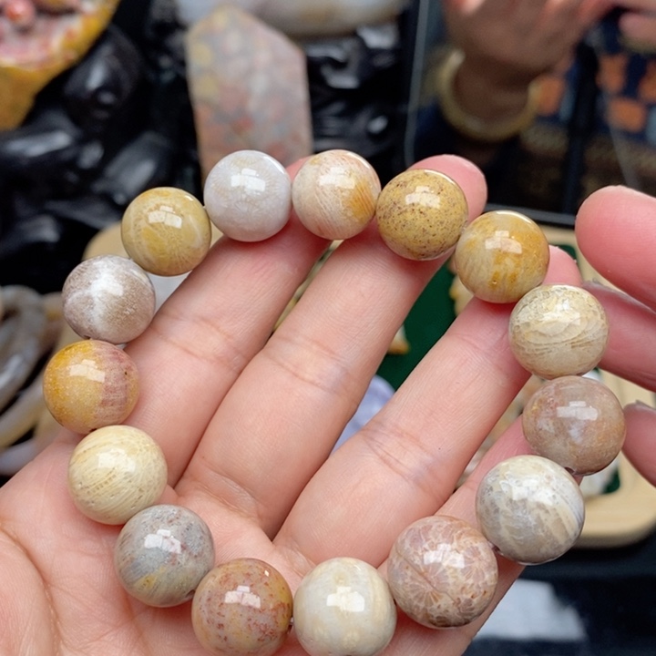 硅化珊瑚（珊瑚玉）手镯未镶嵌