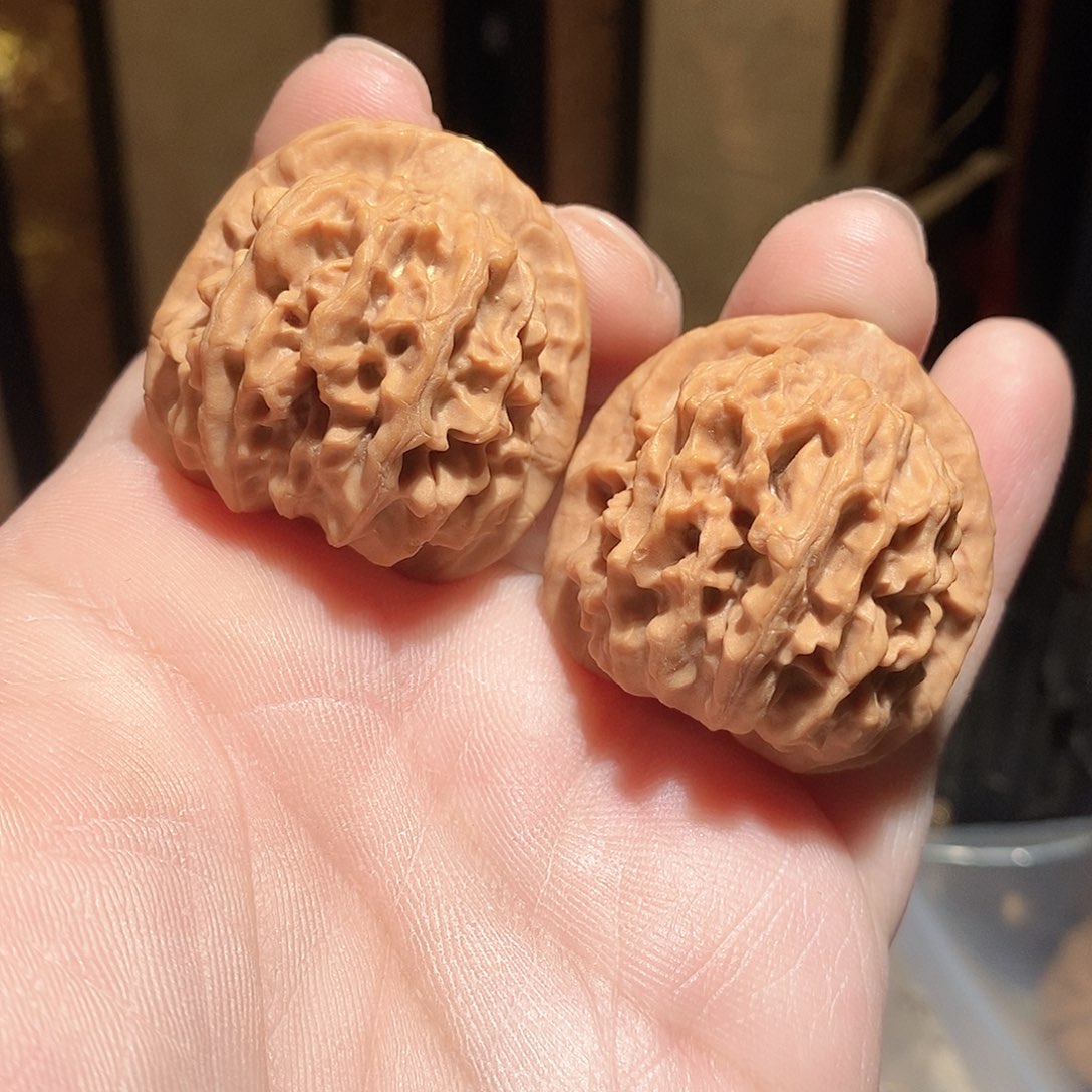 文玩核桃把件36天地狮子头全品