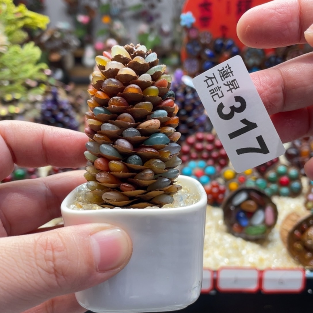 核桃木/黑胡桃（胡桃木）317一套松塔