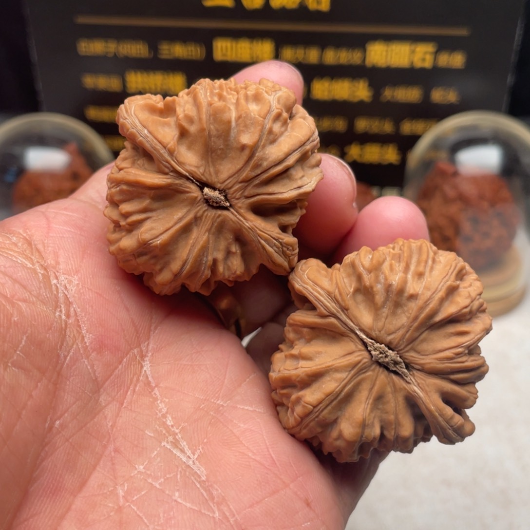 文玩核桃把件纯*41尺全品白狮子