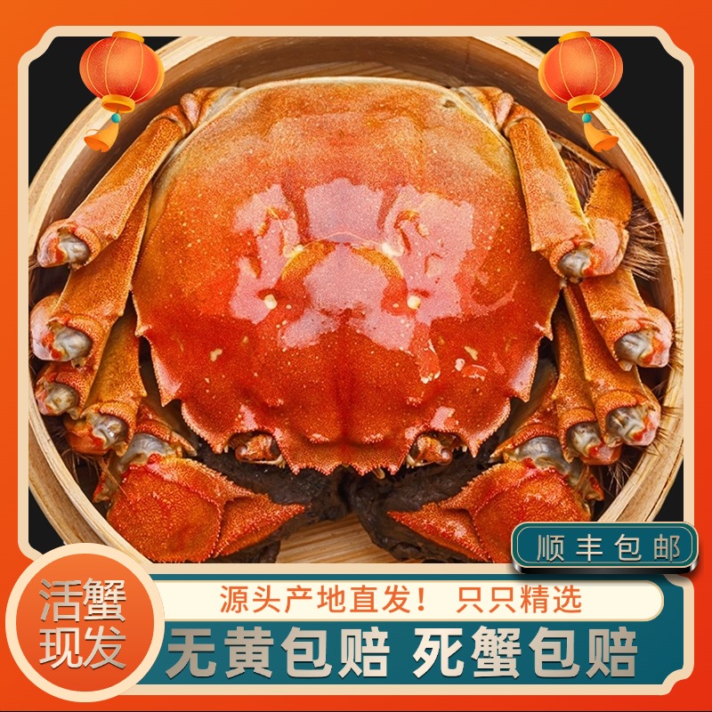 【活蟹现发】4.0-3.7两公蟹+3.0-2.7两母蟹8只送2只大闸蟹顺丰包邮D