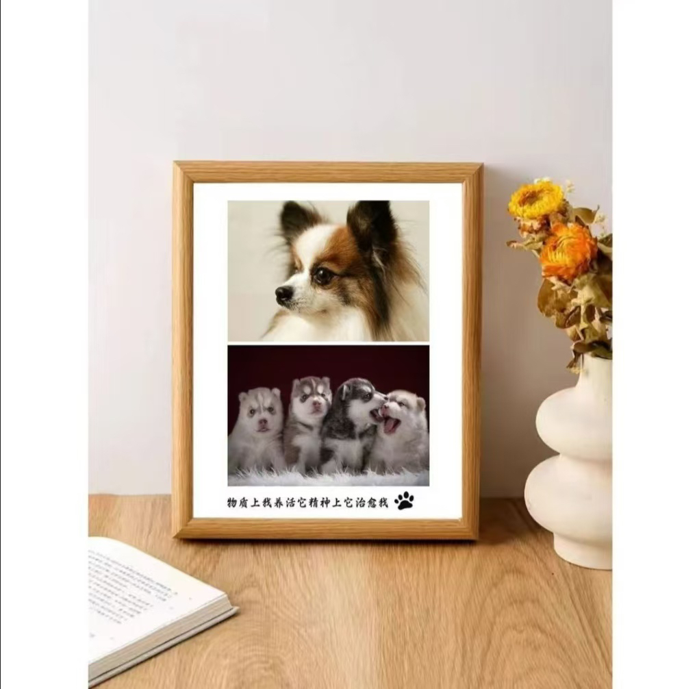 创意宠物纪念相框个性设计照片摆台收藏留念