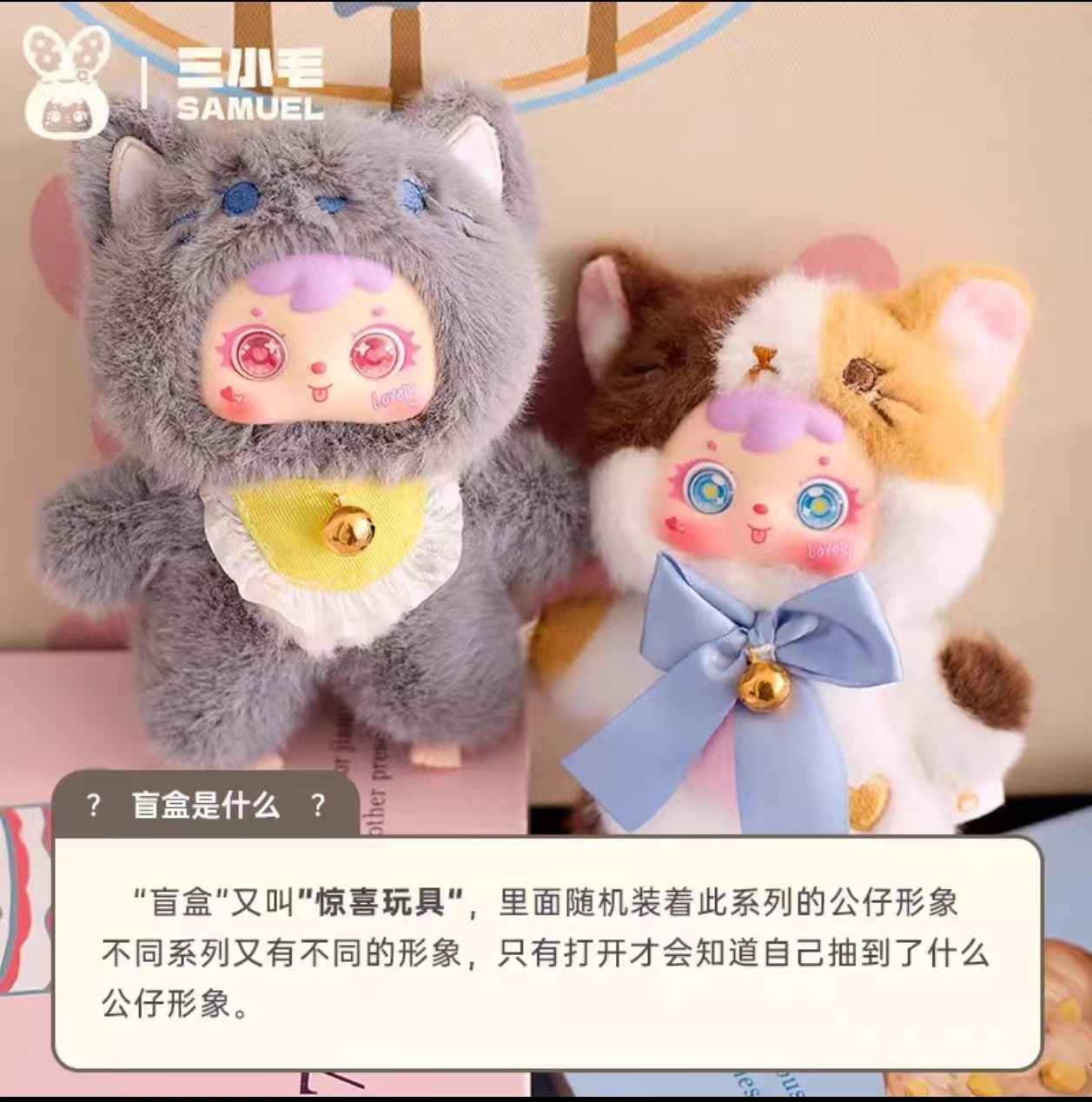 三小毛（Samuel）猫猫小聚会惊喜盒