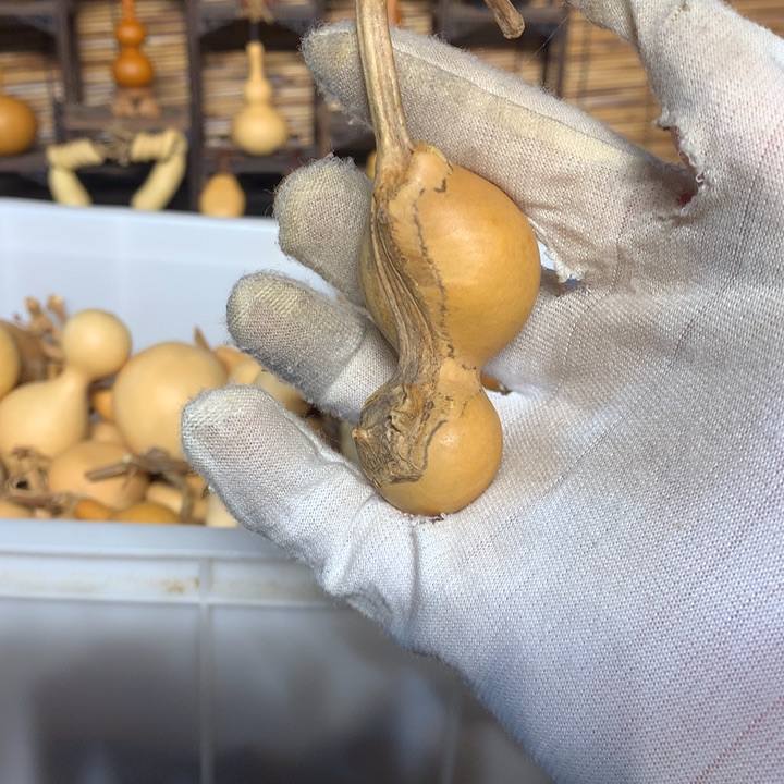 我就知道会这样啊你不相信就