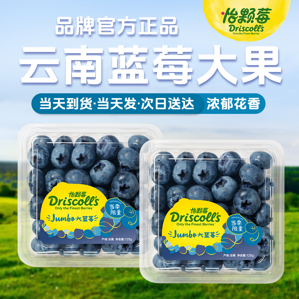 【明天到】怡颗莓云南蓝莓大果18-21mm 125g/盒种地吧同款次日达甜脆花香浓郁新鲜上海市