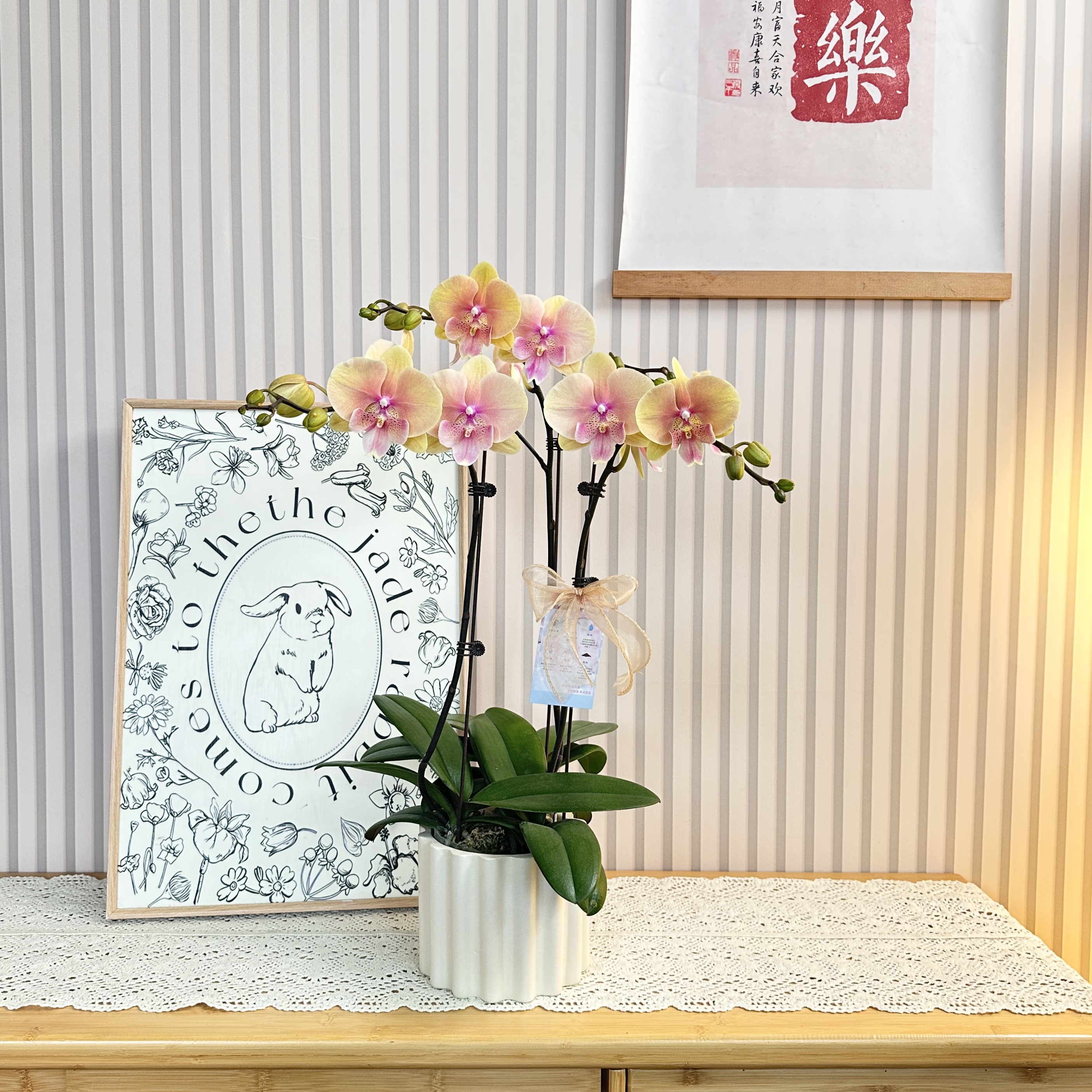 【蜜桃】蝴蝶兰复古黄粉渐变色 客厅卧室书房装饰 源头基地直发