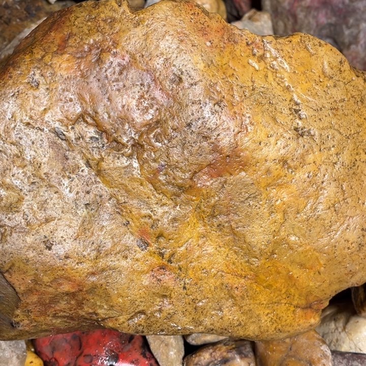 田黄石4460克昌化田黄石