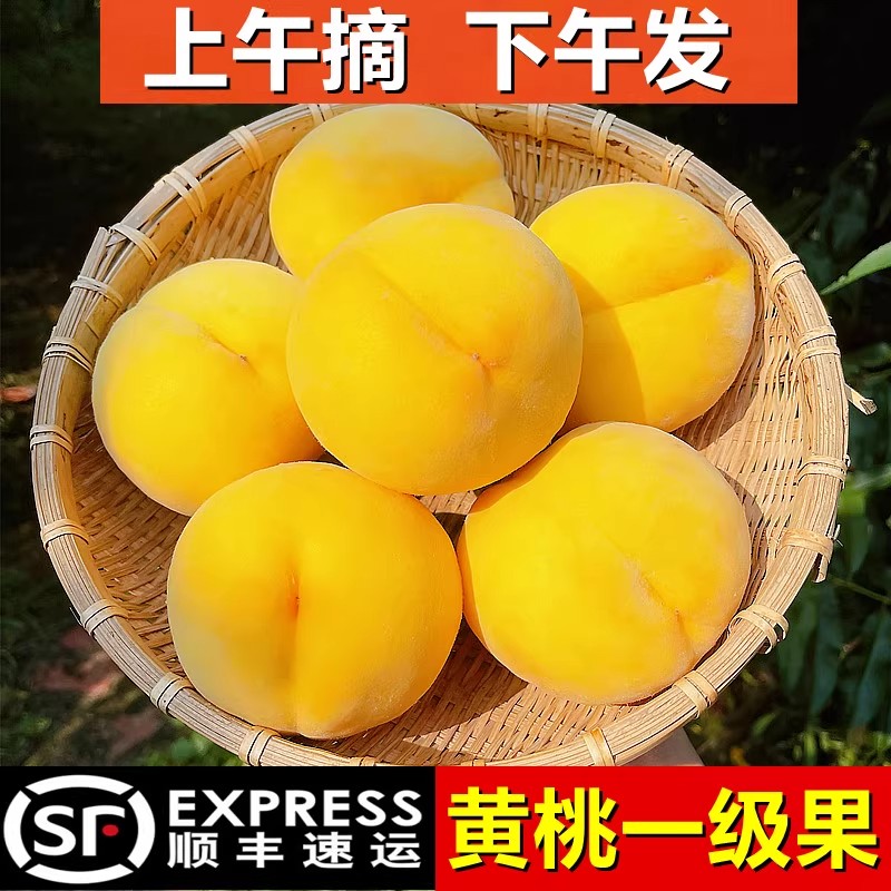 [顺丰包邮]正宗仙居高山黄桃新鲜采摘当季水果脆甜多汁礼盒装