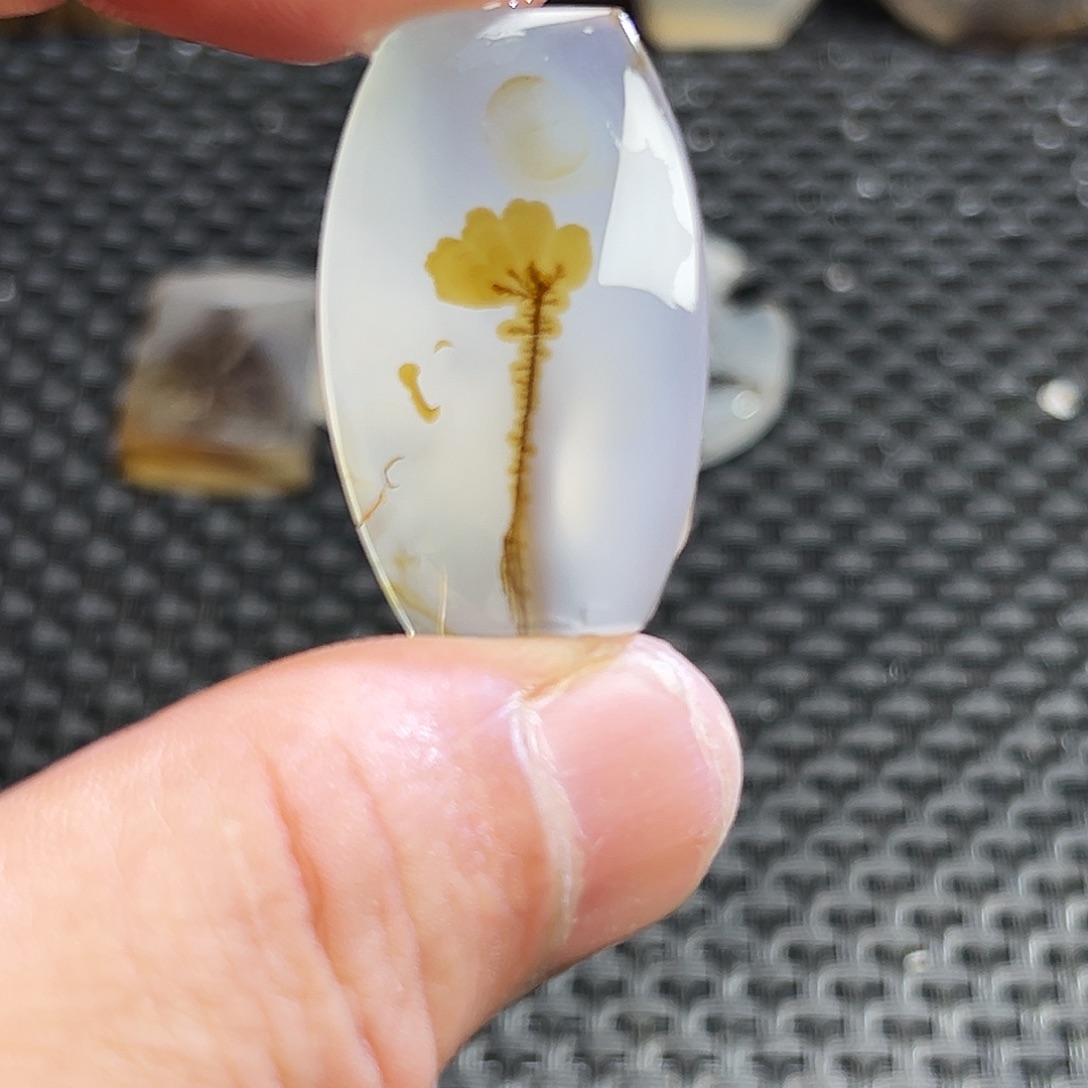 海***洋玛瑙/玉髓未镶嵌珠宝半成品