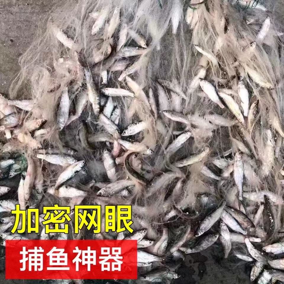 进口三层渔网细丝软丝粘鱼网小白条网捕鱼网沉网浮网马口网餐条网