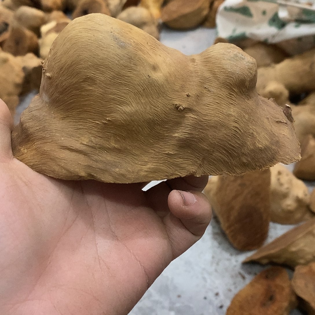 上***亦荔枝木荔枝木原料