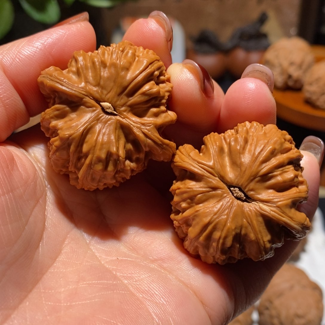 文玩核桃把件白狮子39福利好评