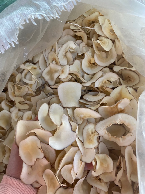 海底椰 广东煲汤料 无硫熏海底椰片 