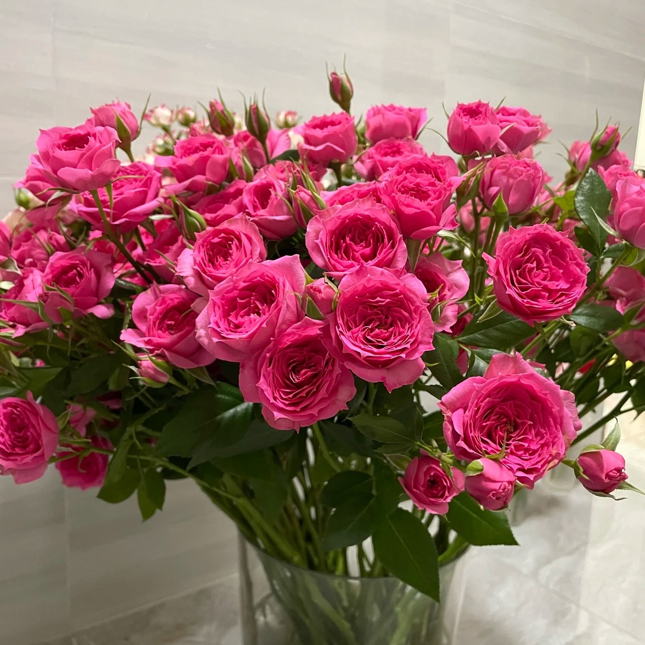 顺丰包邮5支A级，苏菲多头玫瑰，同品质买贵包退，一单也包邮。