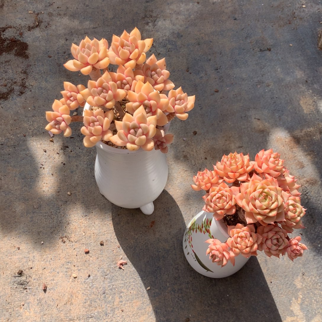 辛****人工增水系统在国内已经