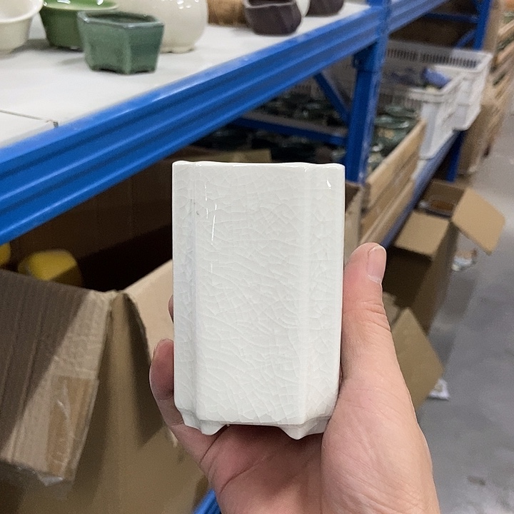 花盆单场满9.9发货6×10