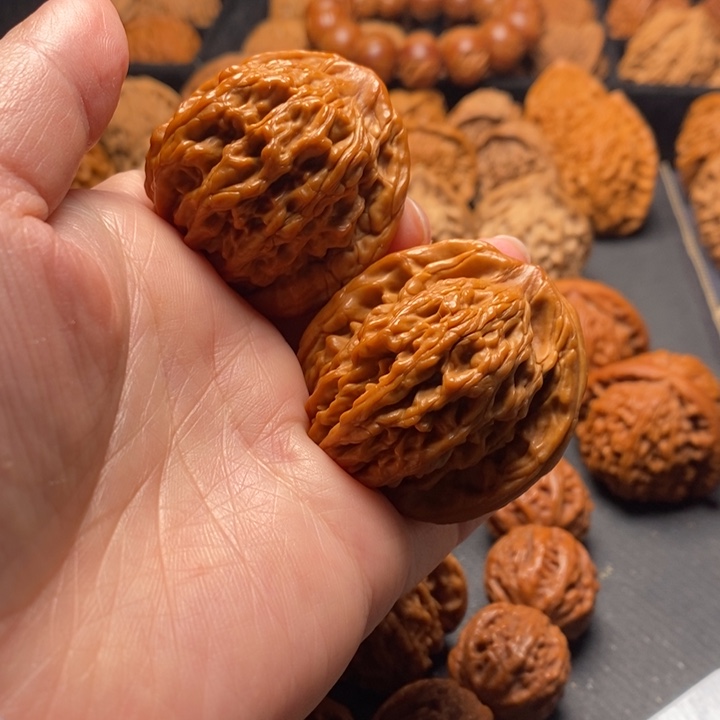 秦岭野生11111111