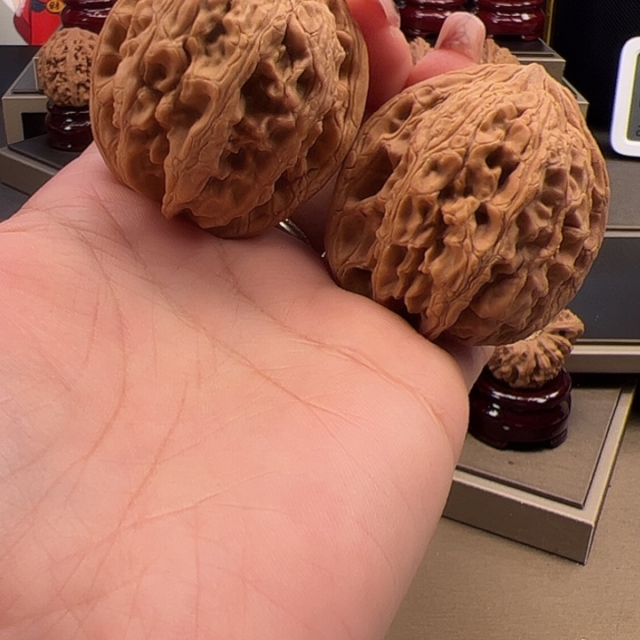 文玩核桃把件42 大 沽石 f-009