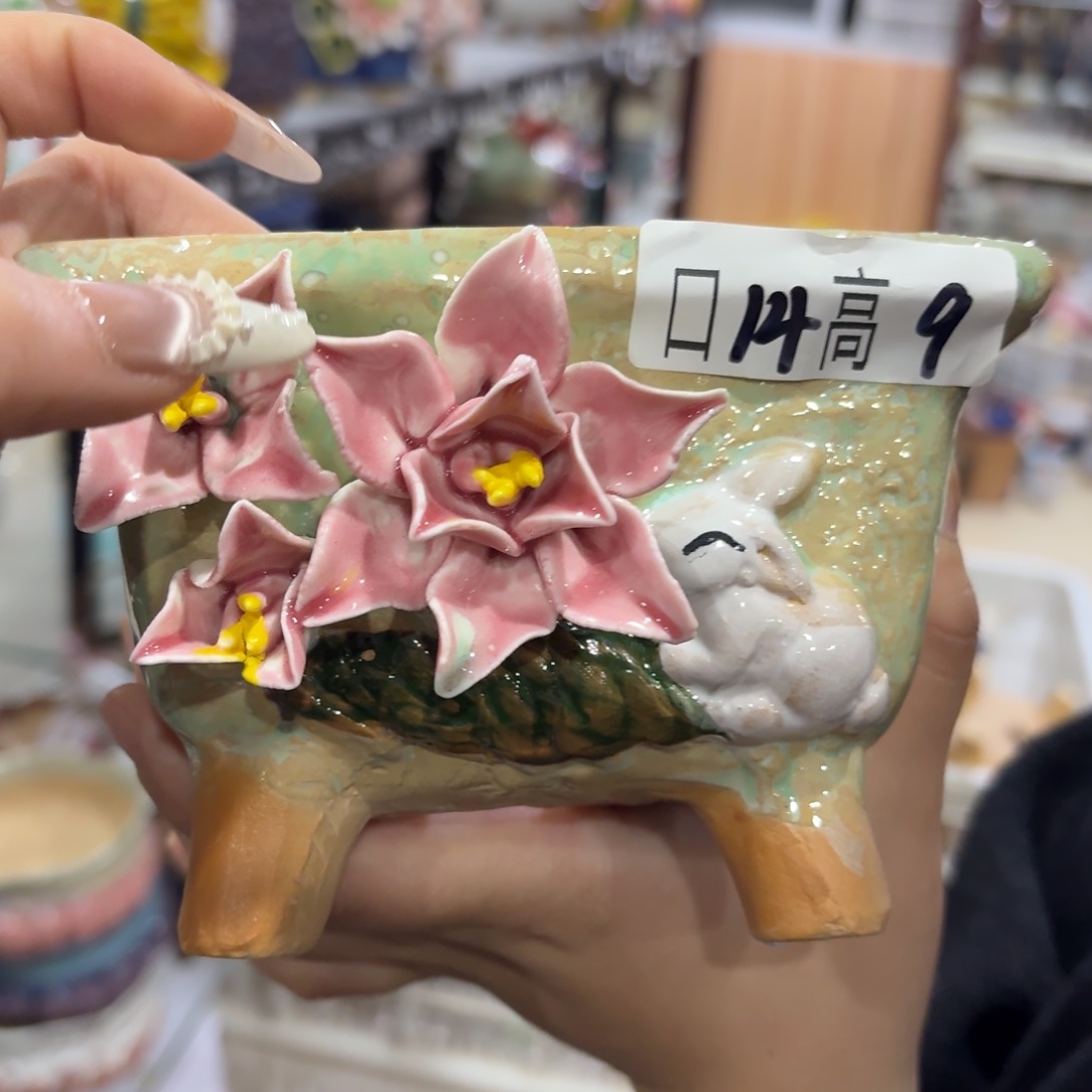 本场直播满百送个盆