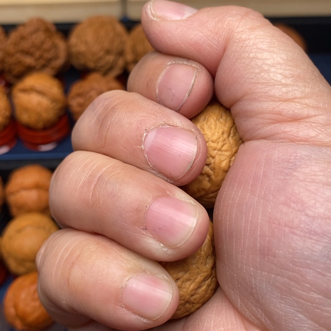 文玩核桃把件阿*力手捻