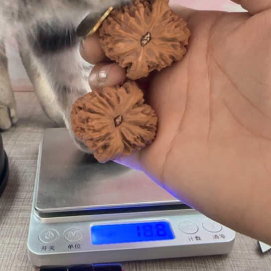 桃核吊坠用****4核桃核桃