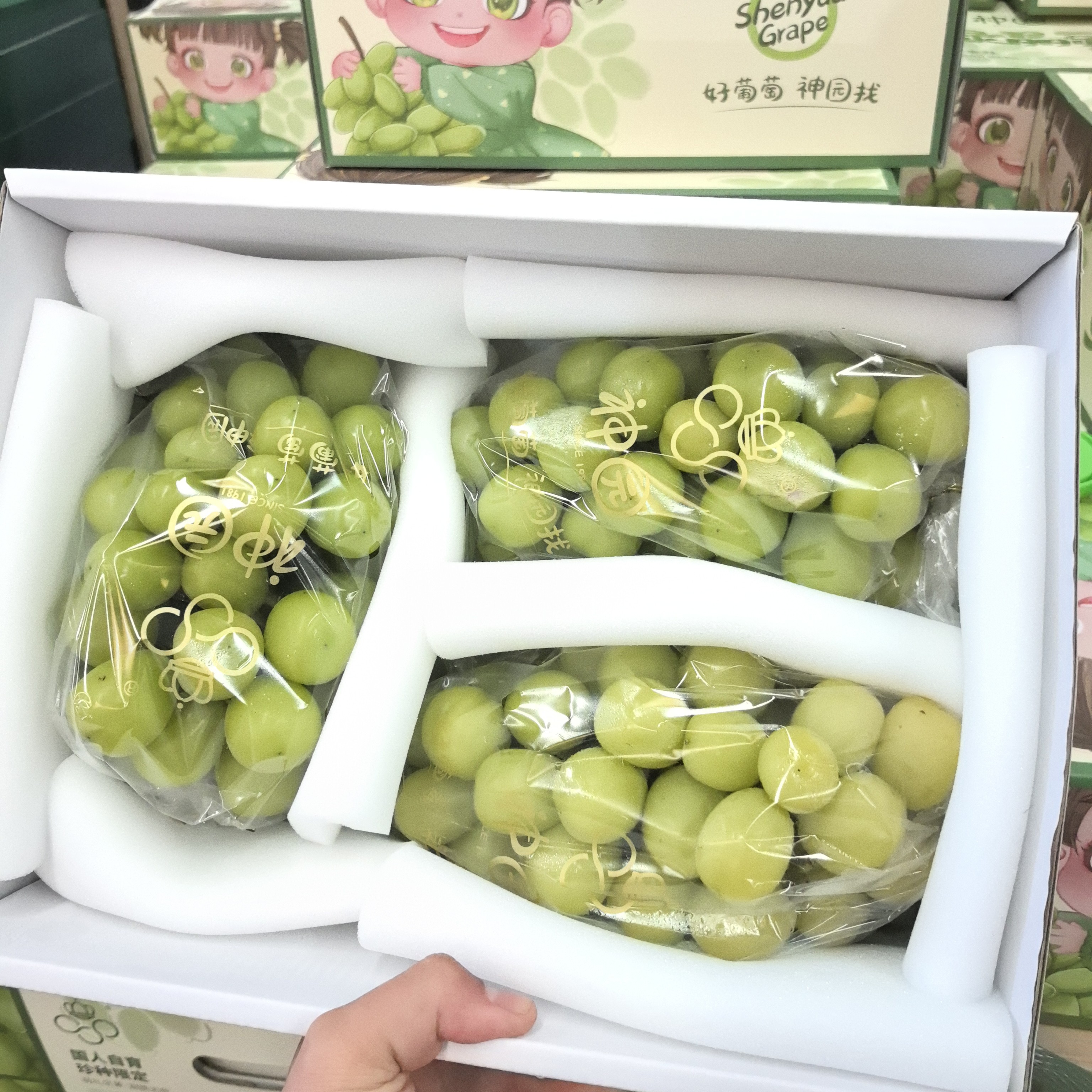 神园阳光玫瑰葡萄新鲜当季脆甜少籽