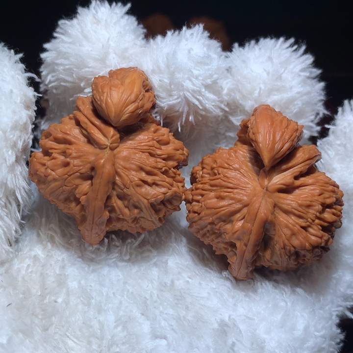 吊坠文玩核桃白狮子犀牛，精品配对，46