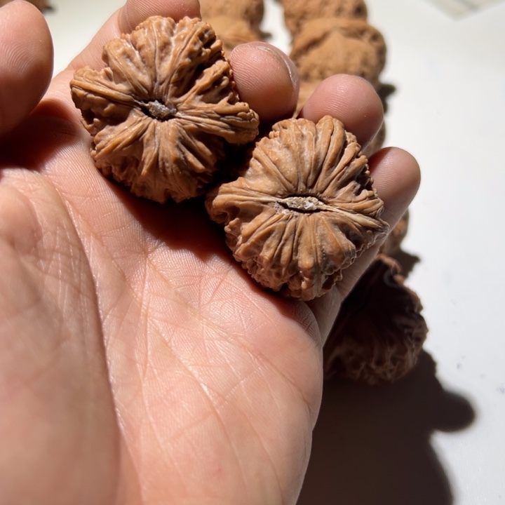 文玩核桃把件球白