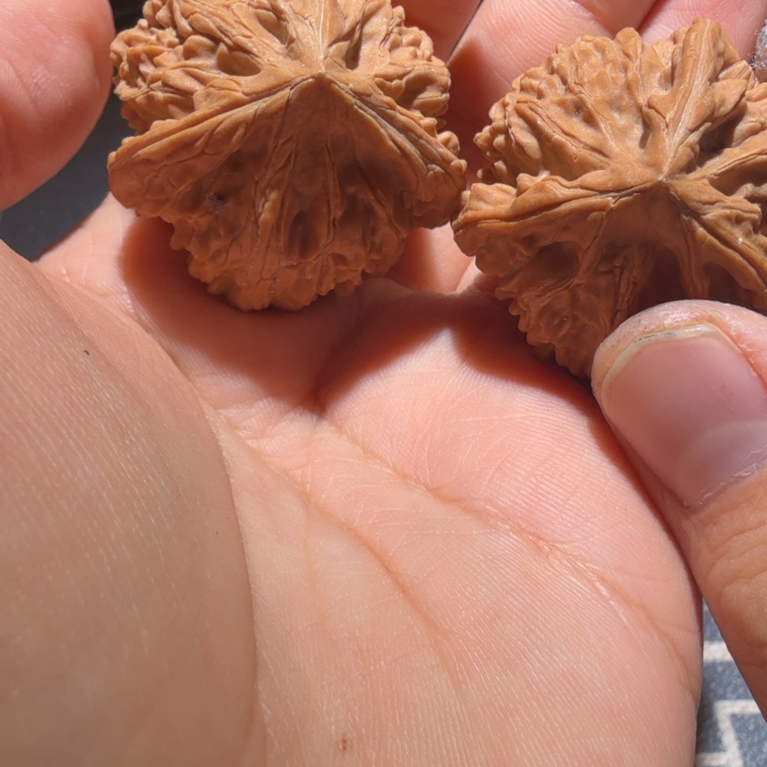 文玩核桃把件御龙