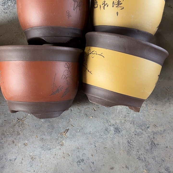 19×15四只    福利价