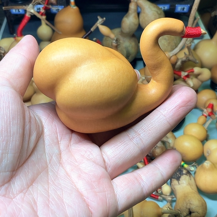乄*厚皮老皮响籽手把天鹅