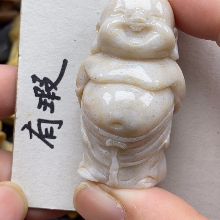 硅化珊瑚（珊瑚玉）未镶嵌颈饰